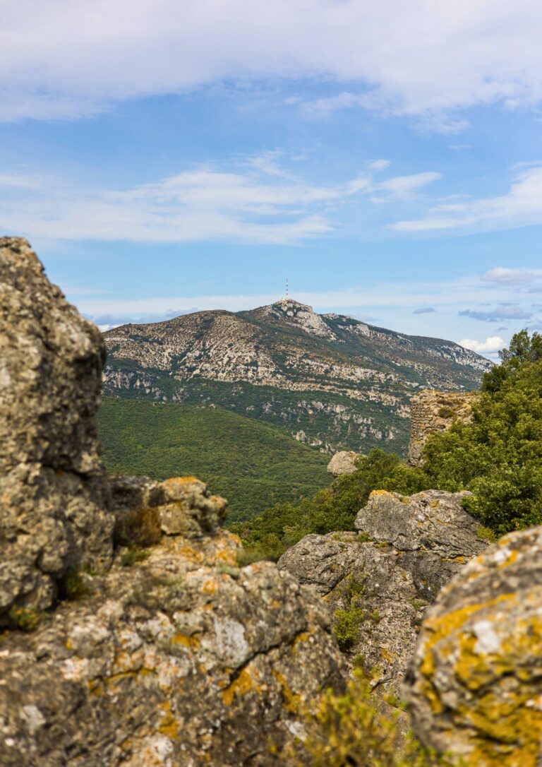 Mont Saint Baudille Vin Terrasses du Larzac