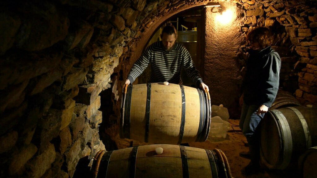 chai à barrique de chêne, tonneau de vin