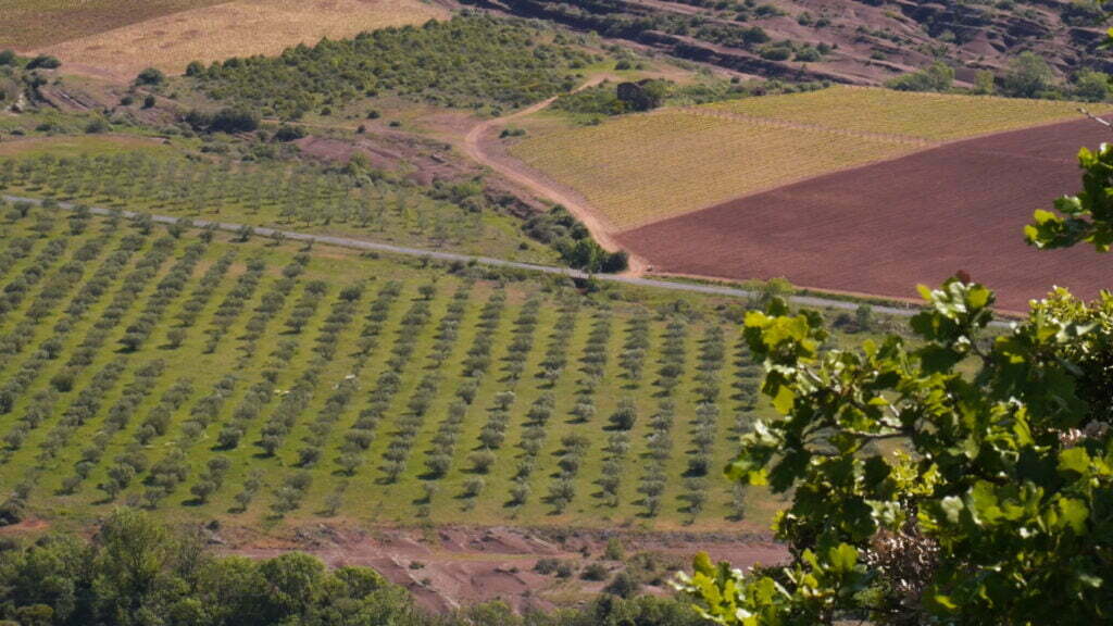 Terrasse du larzac vu du ciel